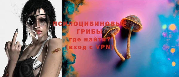 дурь Алексин