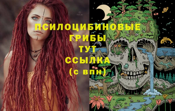 jwh Алзамай