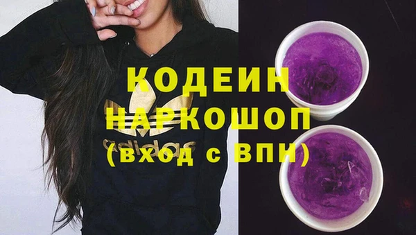 дурь Алексин