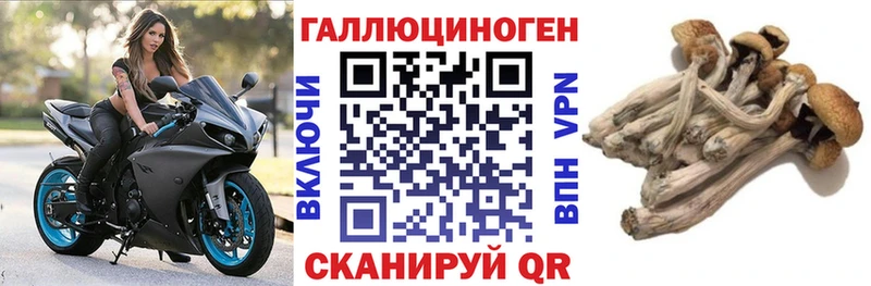 кракен маркетплейс  Юрьевец  Галлюциногенные грибы MAGIC MUSHROOMS 